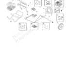 POWER BOSS, 020454-03, IPL.4 thumbnail